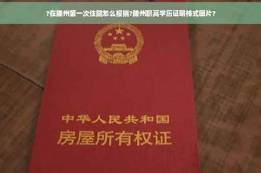 ?在滕州第一次住院怎么报销?滕州职高学历证明格式图片?