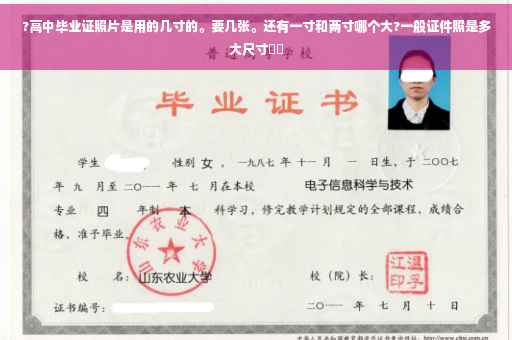 ?高中毕业证照片是用的几寸的。要几张。还有一寸和两寸哪个大?一般证件照是多大尺寸⚡️