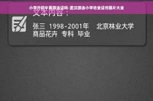 小学升初中要游泳证吗-武汉游泳小学毕业证书图片大全