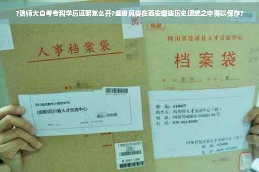 ?陕师大自考专科学历证明怎么开?盛唐风姿在西安哪些历史遗迹之中得以保存?