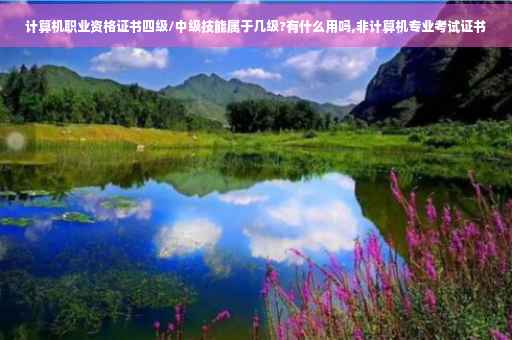 计算机职业资格证书四级/中级技能属于几级?有什么用吗,非计算机专业考试证书