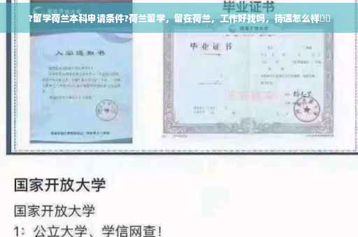 ?留学荷兰本科申请条件?荷兰留学，留在荷兰，工作好找吗，待遇怎么样⚡️