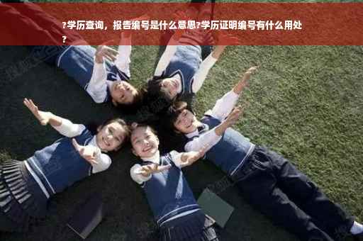 ?学历查询，报告编号是什么意思?学历证明编号有什么用处
?
