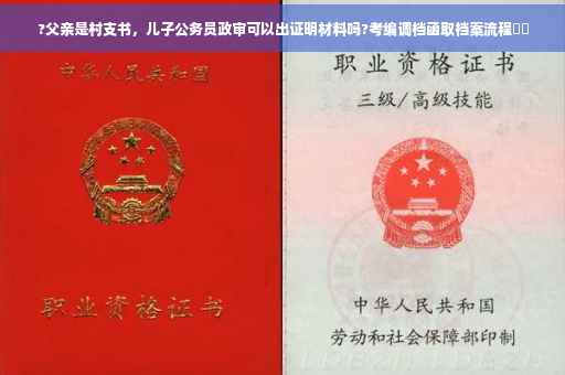 ?父亲是村支书，儿子公务员政审可以出证明材料吗?考编调档函取档案流程⚡️