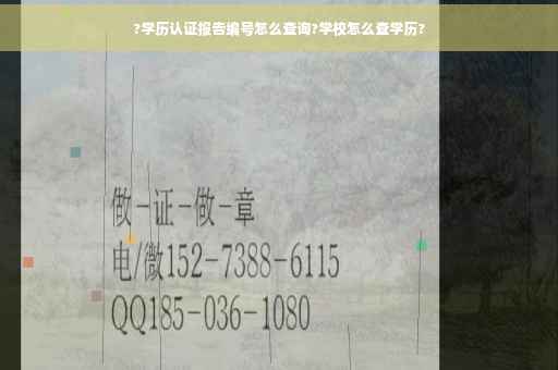 ?学历认证报告编号怎么查询?学校怎么查学历?