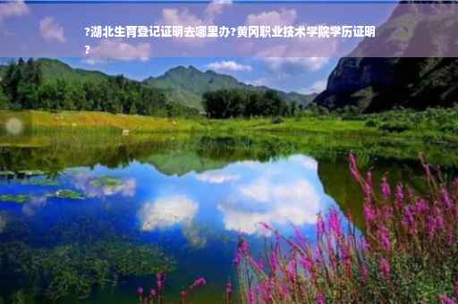 ?湖北生育登记证明去哪里办?黄冈职业技术学院学历证明
?