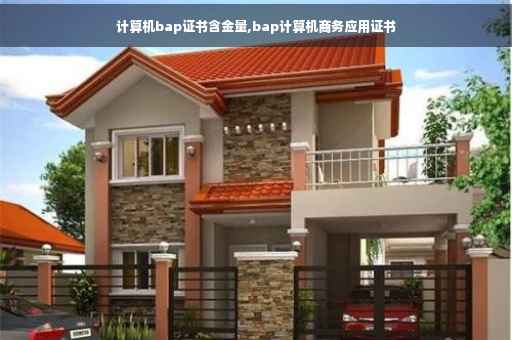 计算机bap证书含金量,bap计算机商务应用证书
