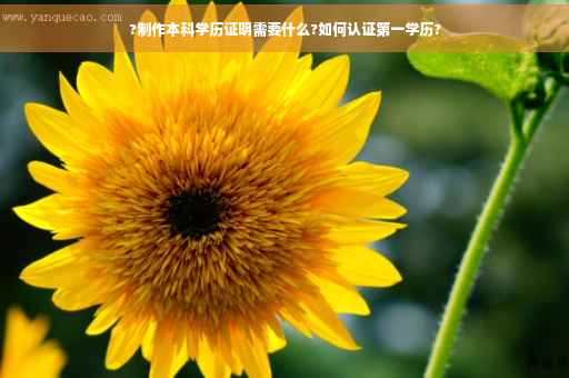 ?制作本科学历证明需要什么?如何认证第一学历?