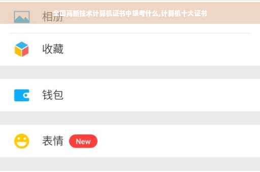 全国高新技术计算机证书中级考什么,计算机十大证书