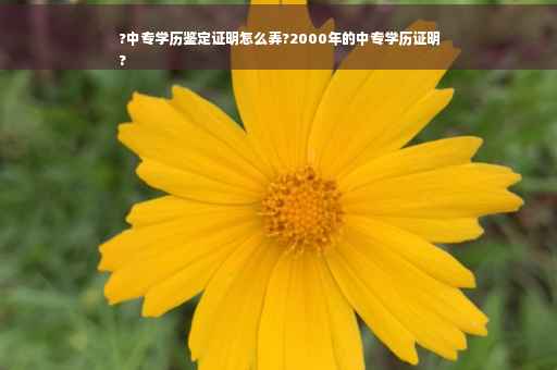?中专学历鉴定证明怎么弄?2000年的中专学历证明
?