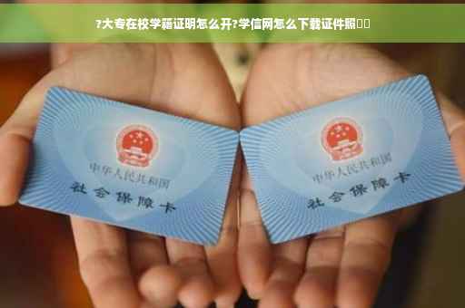 ?大专在校学籍证明怎么开?学信网怎么下载证件照⚡️