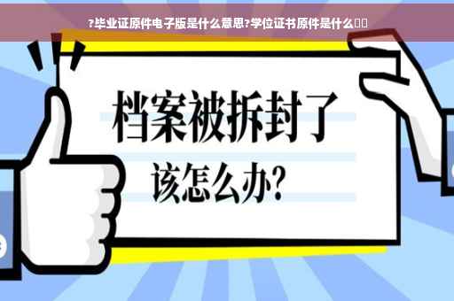 ?毕业证原件电子版是什么意思?学位证书原件是什么⚡️
