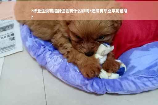 ?毕业生没有报到证会有什么影响?还没有毕业学历证明
?