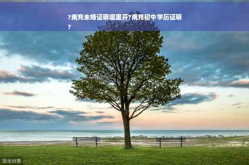 ?南充未婚证明哪里开?南充初中学历证明
?