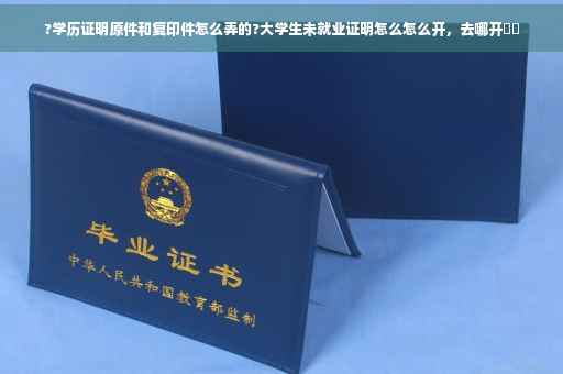 ?学历证明原件和复印件怎么弄的?大学生未就业证明怎么怎么开，去哪开⚡️