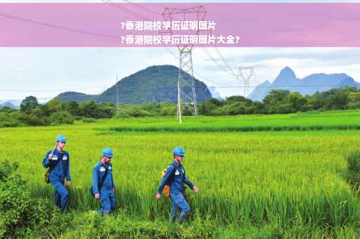 ?香港院校学历证明图片
?香港院校学历证明图片大全?