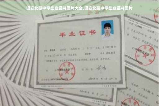 诏安北苑中学毕业证书图片大全,诏安北苑中学毕业证书图片
