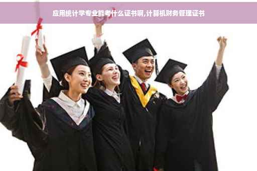 应用统计学专业能考什么证书啊,计算机财务管理证书