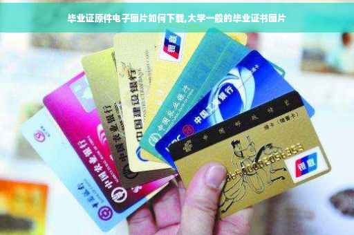 毕业证原件电子图片如何下载,大学一般的毕业证书图片