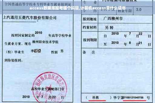 access数据库报考哪个科目,计算机access是什么证书