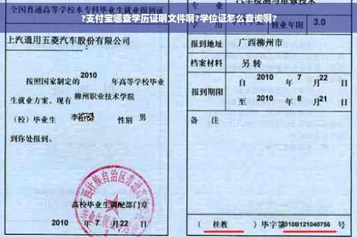 ?支付宝哪查学历证明文件啊?学位证怎么查询啊?