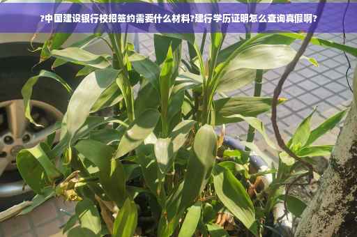 ?中国建设银行校招签约需要什么材料?建行学历证明怎么查询真假啊?