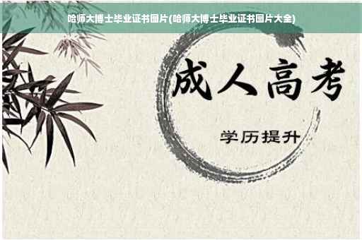 哈师大博士毕业证书图片(哈师大博士毕业证书图片大全)