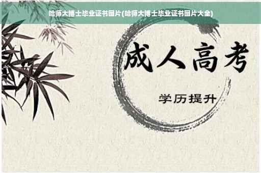 入职15年向公司提出年休假，需要哪些证明手续吗-休假北京工作证明怎么开