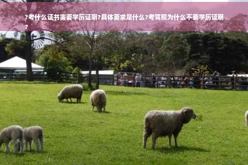 ?考什么证书需要学历证明?具体要求是什么?考驾照为什么不要学历证明
?