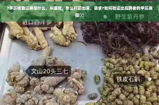 ?学历核查证明是什么，从哪找，怎么打印出来，急求?如何验证出应聘者的学历真假⚡️