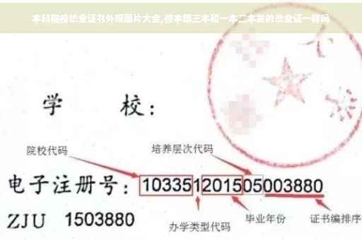 本科院校毕业证书外观图片大全,校本部三本和一本二本发的毕业证一样吗