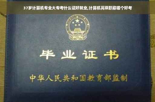 37岁计算机专业大专考什么证好就业,计算机高级职称哪个好考