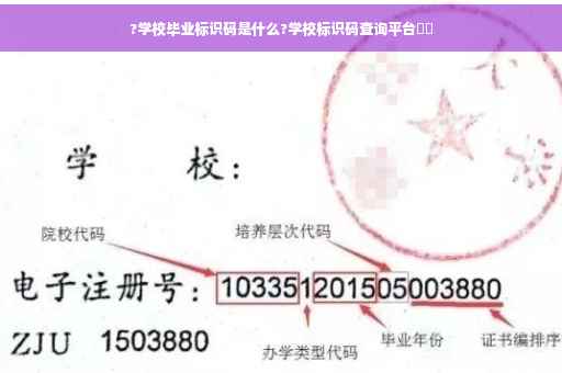 ?学校毕业标识码是什么?学校标识码查询平台⚡️