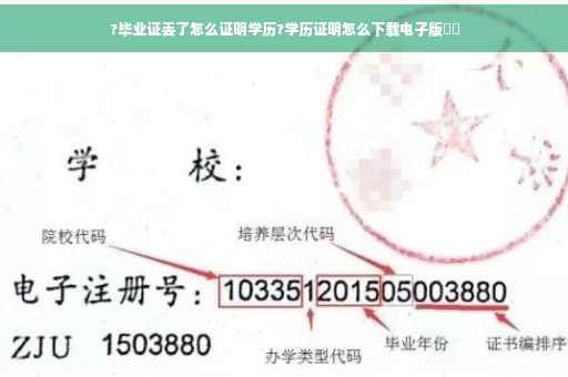 ?毕业证丢了怎么证明学历?学历证明怎么下载电子版⚡️