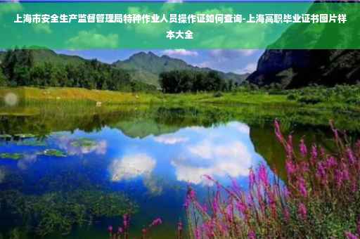 上海市安全生产监督管理局特种作业人员操作证如何查询-上海高职毕业证书图片样本大全