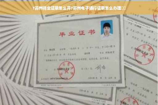 ?苏州待业证明怎么开?苏州电子通行证明怎么办理⚡️