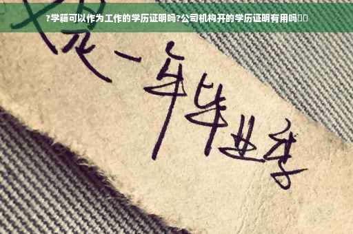 ?学籍可以作为工作的学历证明吗?公司机构开的学历证明有用吗⚡️