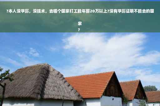 ?本人没学历，没技术，去哪个国家打工能年薪20万以上?没有学历证明不能去的国家
?