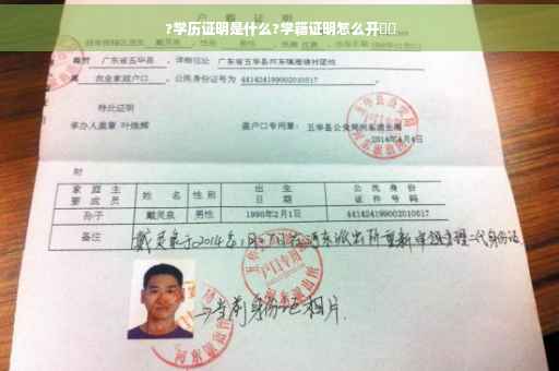 ?学历证明是什么?学籍证明怎么开⚡️