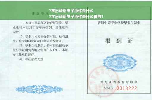 ?学历证明电子原件是什么
?学历证明电子原件是什么样的?