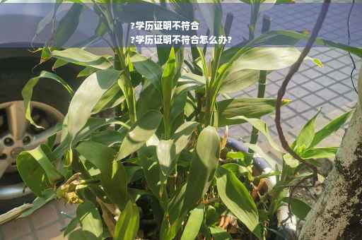 ?学历证明不符合
?学历证明不符合怎么办?