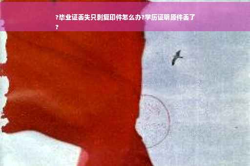 ?毕业证丢失只剩复印件怎么办?学历证明原件丢了
?