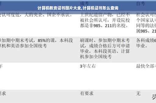 计算机教资证书图片大全,计算机证书怎么查询
