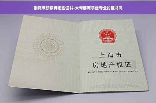 副高级职称有哪些证书-大专都有拿些专业的证书吗