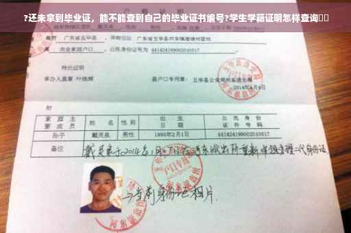 ?还未拿到毕业证，能不能查到自己的毕业证书编号?学生学籍证明怎样查询⚡️