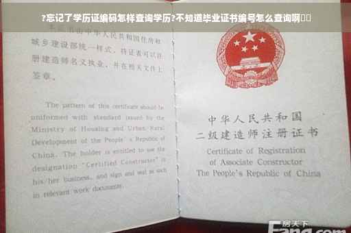 ?忘记了学历证编码怎样查询学历?不知道毕业证书编号怎么查询啊⚡️