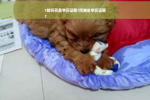 ?如何开具学历证明?河南省学历证明
?