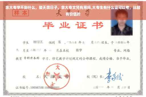 念大专学不到什么，整天混日子，拿大专文凭有用吗,大专生有什么证可以考，比较有价值的