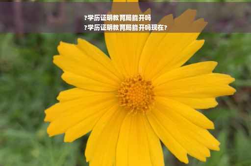 ?学历证明教育局能开吗
?学历证明教育局能开吗现在?