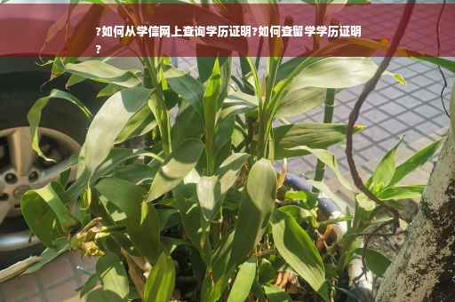 ?如何从学信网上查询学历证明?如何查留学学历证明
?